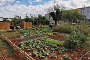 Objavljena lista novih korisnika urbanog vrta na Gregovici