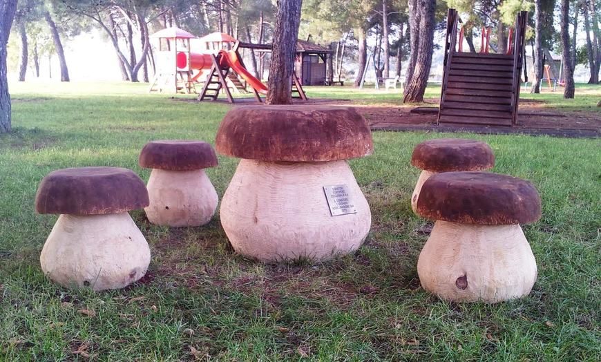 Drvenu parkovnu garnituru za sjedenje u formi gljiva izradio je obrtnik iz Gorskog kotara