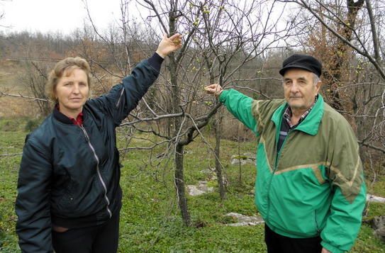 Danica i Ratko Blašković iz Šumbera na imanju u Ćopima