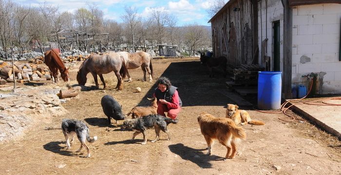 Hela Liverić s kozom, psima i krmkom Rokijem, a u pozadini konji Grizu, Frida i Pipi