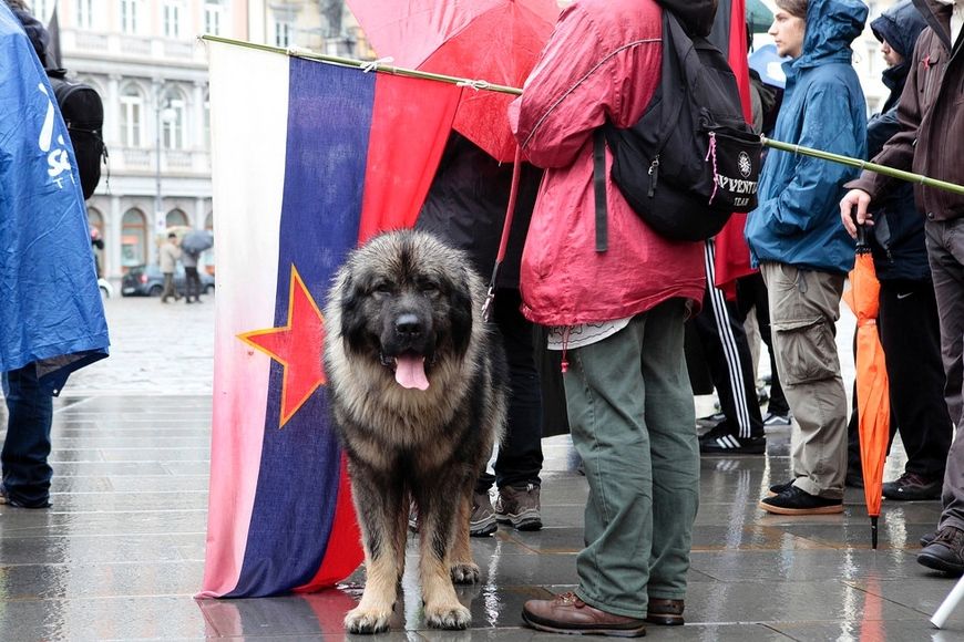 Zastava Socijalističke republike Slovenije na povorci povodom 1. maja u Trstu (foto: Il Piccolo)