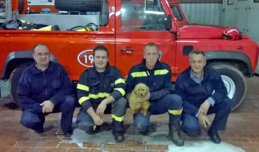 Porečki vatrogasci sa spašenim psom, kojeg su morali izvlačiti iz jame vrlo uskog ulaza (Foto: Javna vatrogasna postrojba Poreč)