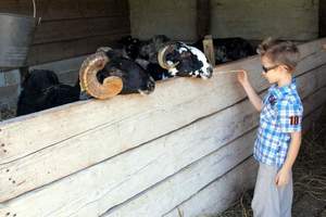 Slabovidna djeca iz Istre posjetila agroturizam Ograde
