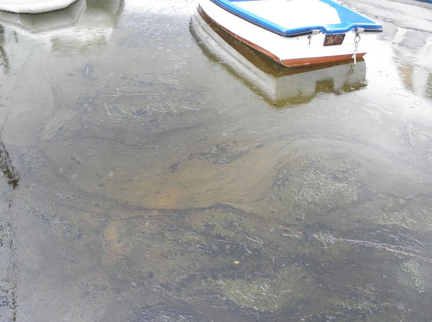 Ovako je Raški zaljev izgledao jutro nakon istjecanja nafte  