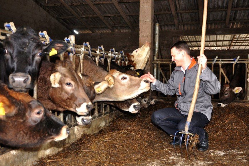 Valter Flego posjetio je uzgajivače krava u unutrašnjosti Istre