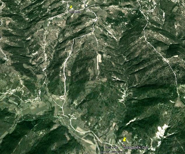 Nesreća se dogodila na cesti koja vodi od Gologorice prema Gologoričkom Dolu (Screenshot: Google Earth)