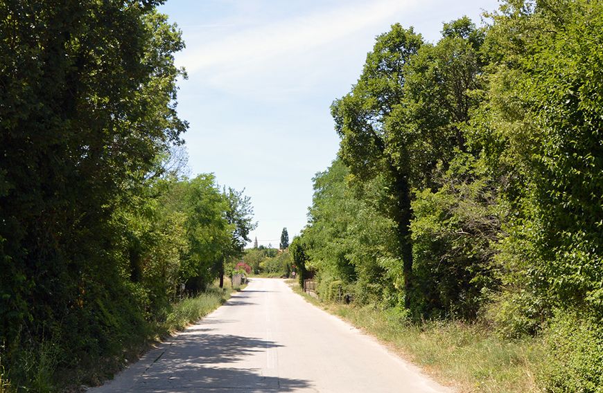 Stablo s desne strane ceste tradicionalna je granica između Nedešćine i Eržišća
